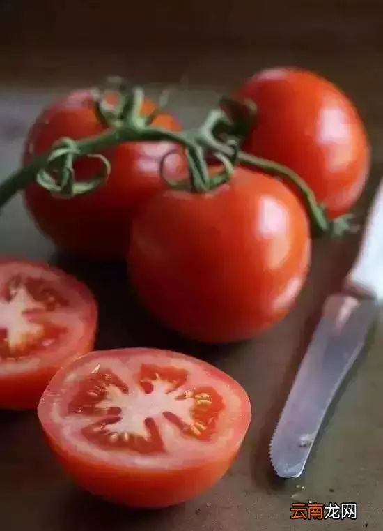 什么食物不合适放冰箱 这10种食物扔掉都别放