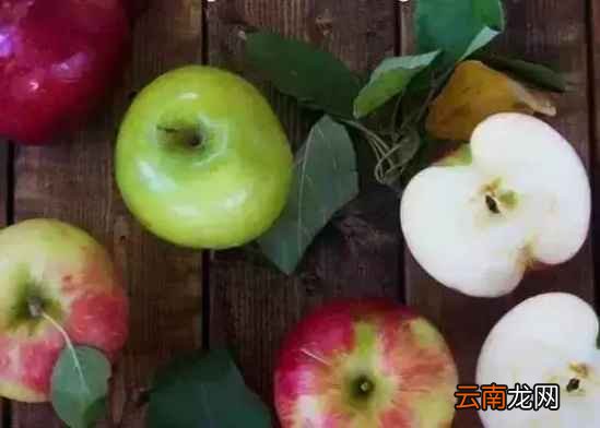 什么食物不合适放冰箱 这10种食物扔掉都别放