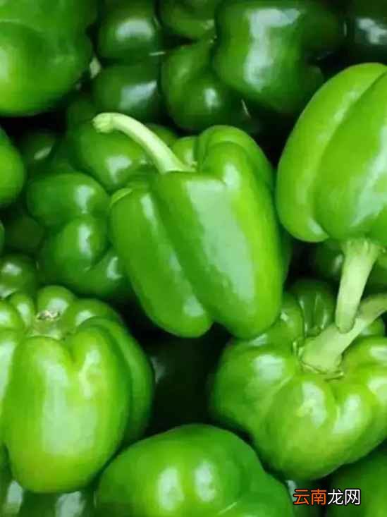 什么食物不合适放冰箱 这10种食物扔掉都别放