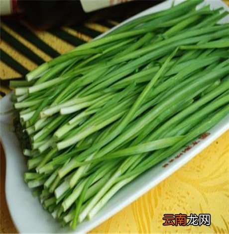 韭菜的饮食禁忌 韭菜不能跟这种食物同吃