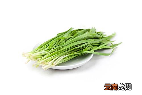 韭菜的饮食禁忌 韭菜不能跟这种食物同吃