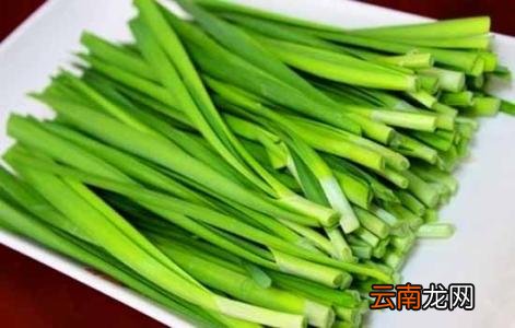 韭菜的饮食禁忌 韭菜不能跟这种食物同吃