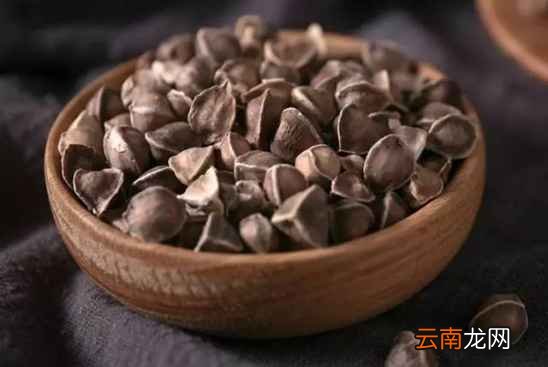 辣木籽的功效与吃法 早吃晚吃都有讲究