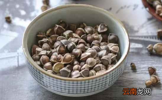 辣木籽的功效与吃法 早吃晚吃都有讲究