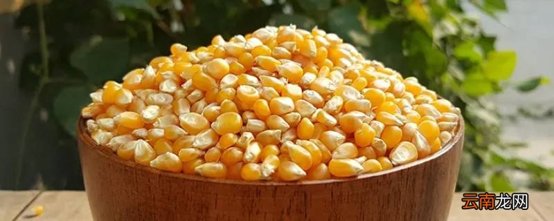 玉米粒煮多久就熟了