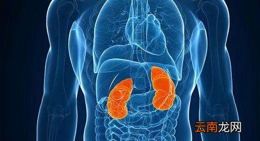 肾刺痛是什么原因引起的